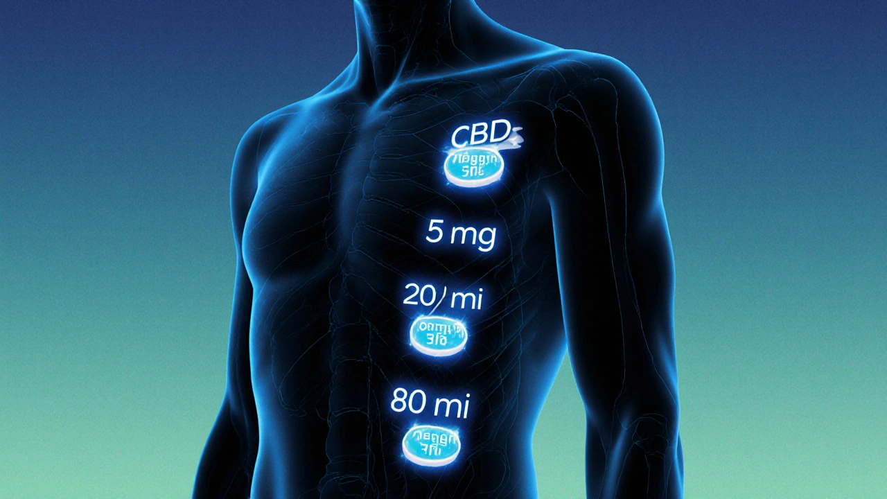 Kontur lidského těla s osvětlenými zónami pro různé dávky CBD.