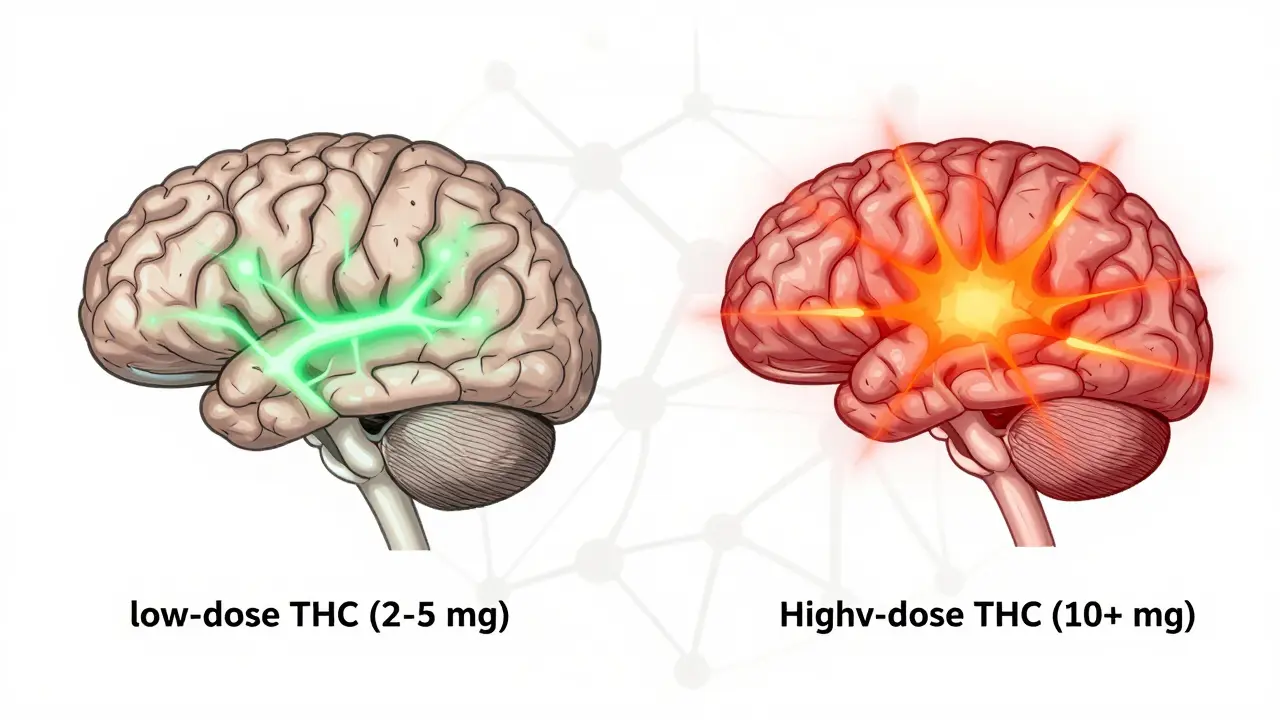 Srovnání dvou mozků: jeden klidný s nízkou dávkou THC, druhý chaotický s vysokou dávkou.