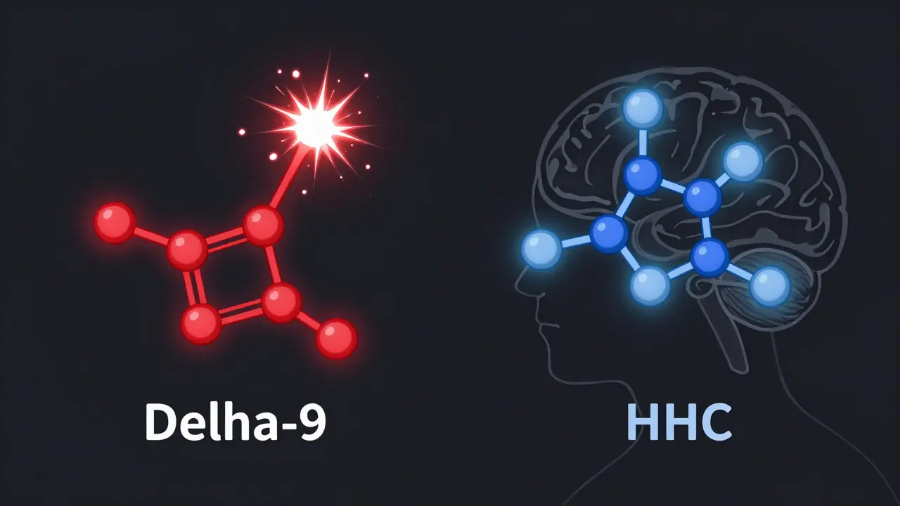 Molekulové struktury HHC a Delta-9 vedle sebe, s různými účinky na mozek – klidné vs. chaotické.