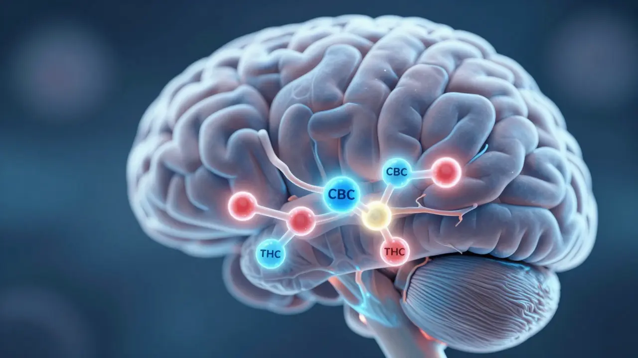 Proč THC vaping působí tak dobře? Vědecké vysvětlení účinků a rizik