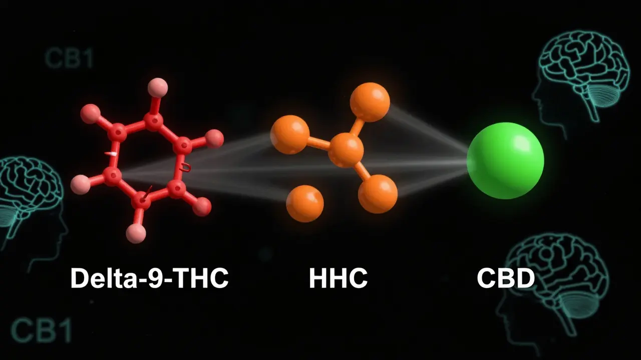 Konceptuální srovnání molekul THC, HHC a CBD a jejich vazby