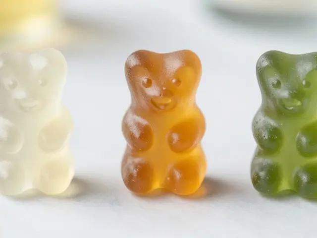 Jaké jsou nejlepší CBD gummy? Průvodce typy, účinností a výběrem v roce 2026