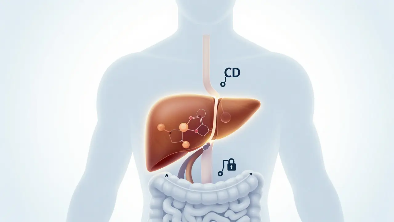 Jak rychle odstranit CBD z těla: Metabolismus, testy a praktické tipy