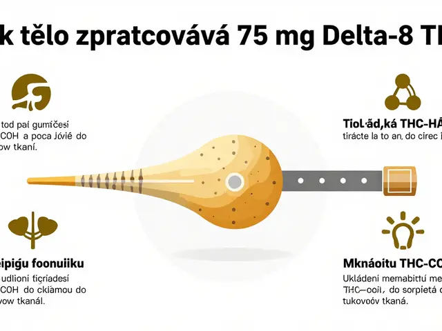 Jak dlouho zůstává 75 mg delta-8 v těle? Kompletní průvodce detekcí a metabolismem